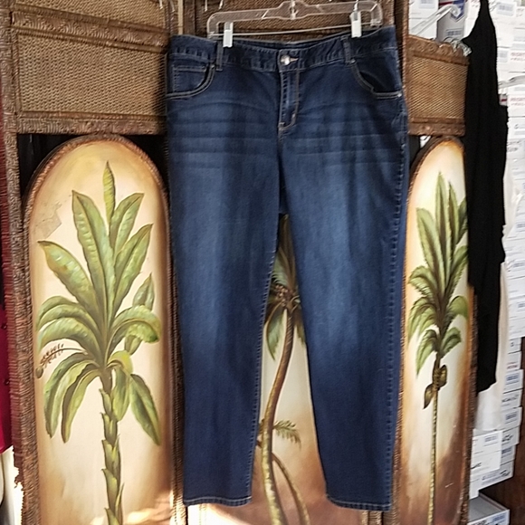 Lane Bryant Denim - Lane Bryant 29.5 inseam Jeans